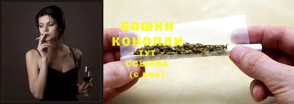 apvp Дмитровск