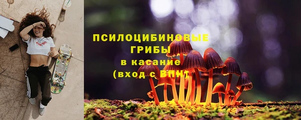 apvp Дмитровск